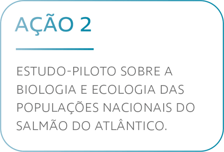 O projeto - Ação 2. Estudo-piloro sobre a biologia e ecologia das populações nacionais do salmão do atlântico