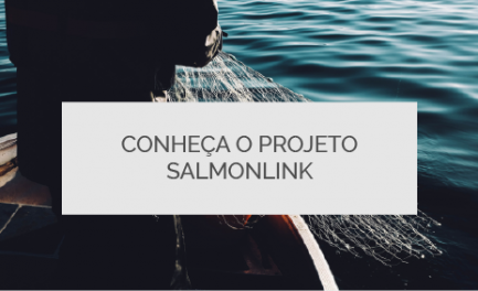 Conheça o projeto SamonlInk