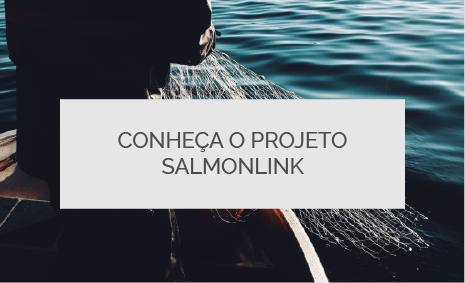 Conheça o projeto SamonlInk