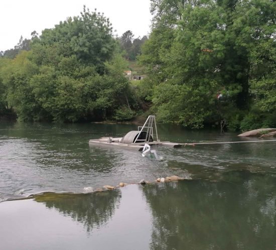 Armadilha para smolts no rio Vez