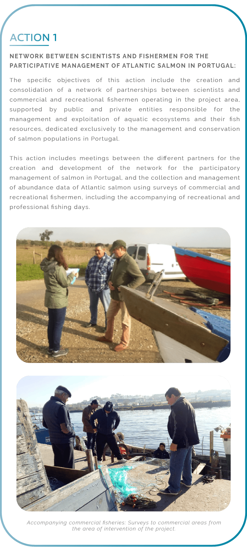 Action 1. Network between scientists and fishermen for the participative management of Atlantic salmon in Portugal: The specific objectives of this action include the creation and consolidation of a network of partnerships between scientists and commercial and recreational fishermen operating in the project area, supported by public and private entities responsible for the management and exploitation of aquatic ecosystems and their fish resources, dedicated exclusively to the management and conservation of salmon populations in Portugal. This action includes meetings between the different partners for the creation and development of the network for the participatory management of salmon in Portugal, and the collection and management of abundance data of Atlantic salmon using surveys of commercial and recreational fishermen, including the accompanying of recreational and professional fishing days.