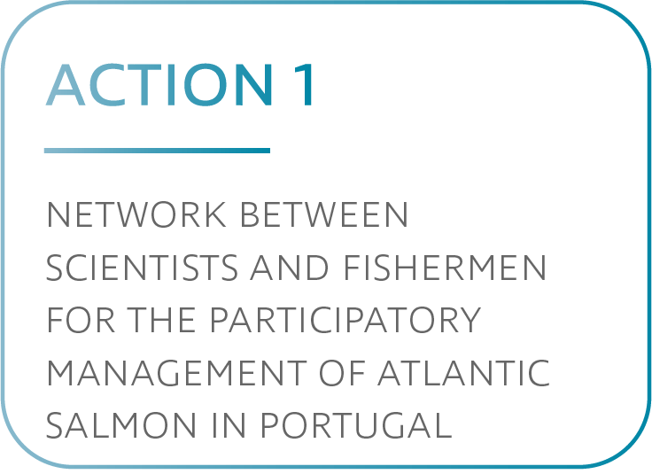 Action 1. Network between scientists and fishermen for the participatory management of atlantic salmon in Portugal.