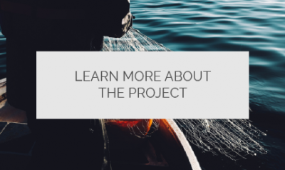 Click here and learn more about the project
