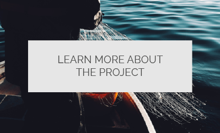 Click here and learn more about the project