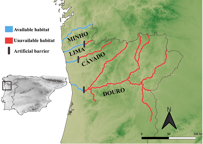 A map of the project's intervention area showing 4 blue zones, whitch are available habitat for the salmon. And unavailable habitats in red (after obstacles).